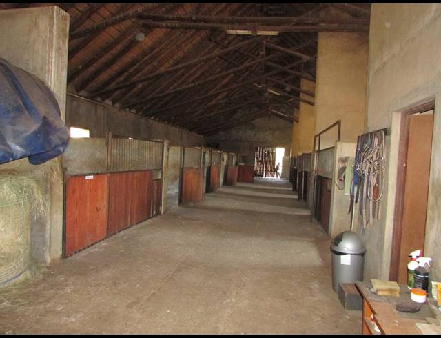 6HA SMALLHOLDING FOR SALE IN WHITE RIVER ESTATES